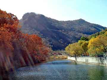 管家婆黑白马报图库，师父搞